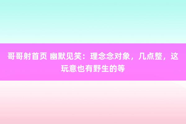 哥哥射首页 幽默见笑：理念念对象，几点整，这玩意也有野生的等