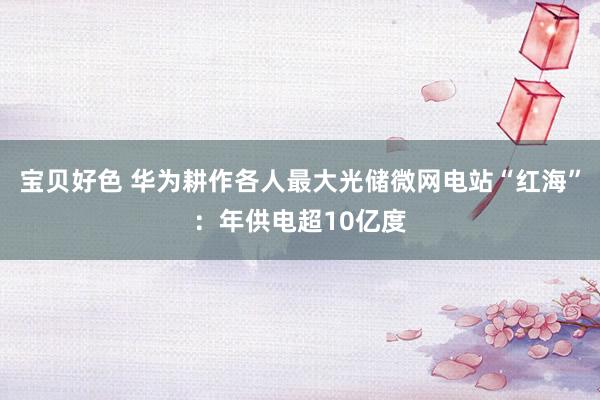 宝贝好色 华为耕作各人最大光储微网电站“红海”：年供电超10亿度