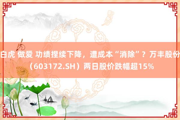 白虎 做爱 功绩捏续下降，遭成本“消除”？万丰股份（603172.SH）两日股价跌幅超15%