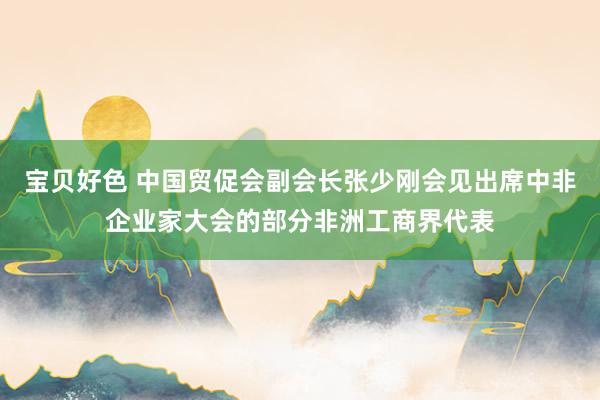 宝贝好色 中国贸促会副会长张少刚会见出席中非企业家大会的部分非洲工商界代表