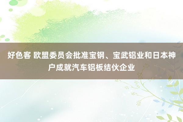 好色客 欧盟委员会批准宝钢、宝武铝业和日本神户成就汽车铝板结伙企业