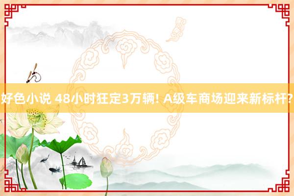 好色小说 48小时狂定3万辆! A级车商场迎来新标杆?