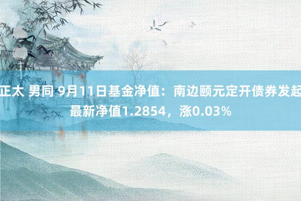 正太 男同 9月11日基金净值：南边颐元定开债券发起最新净值1.2854，涨0.03%