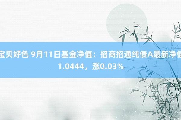 宝贝好色 9月11日基金净值：招商招通纯债A最新净值1.0444，涨0.03%