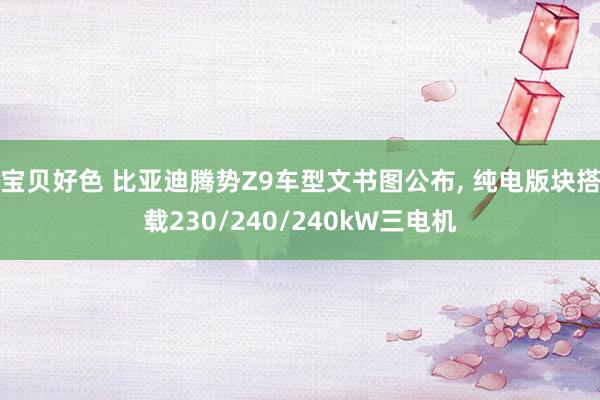 宝贝好色 比亚迪腾势Z9车型文书图公布， 纯电版块搭载230/240/240kW三电机