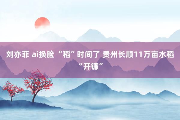 刘亦菲 ai换脸 “稻”时间了 贵州长顺11万亩水稻“开镰”