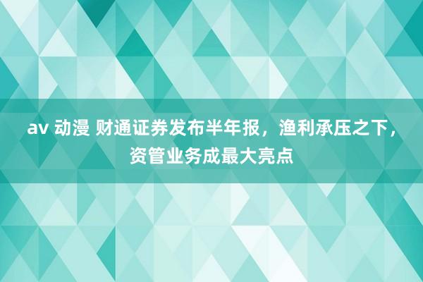 av 动漫 财通证券发布半年报，渔利承压之下，资管业务成最大亮点