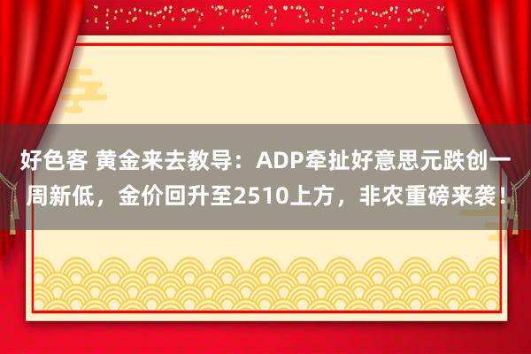 好色客 黄金来去教导：ADP牵扯好意思元跌创一周新低，金价回升至2510上方，非农重磅来袭！