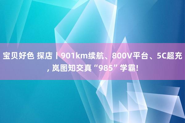 宝贝好色 探店丨901km续航、800V平台、5C超充， 岚图知交真“985”学霸!