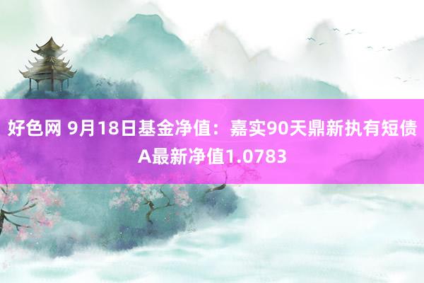 好色网 9月18日基金净值：嘉实90天鼎新执有短债A最新净值1.0783