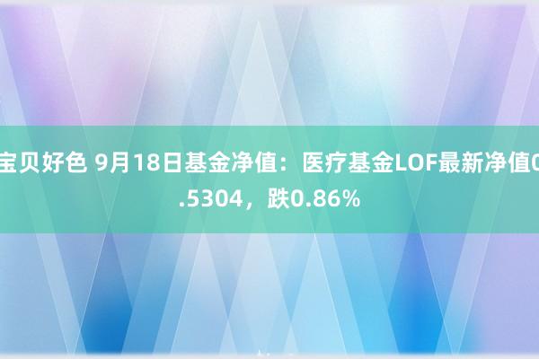 宝贝好色 9月18日基金净值：医疗基金LOF最新净值0.5304，跌0.86%