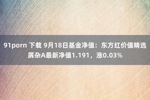 91porn 下载 9月18日基金净值：东方红价值精选羼杂A最新净值1.191，涨0.03%