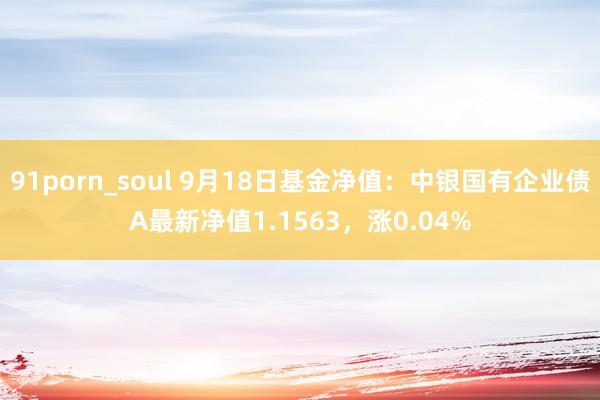 91porn_soul 9月18日基金净值：中银国有企业债A最新净值1.1563，涨0.04%