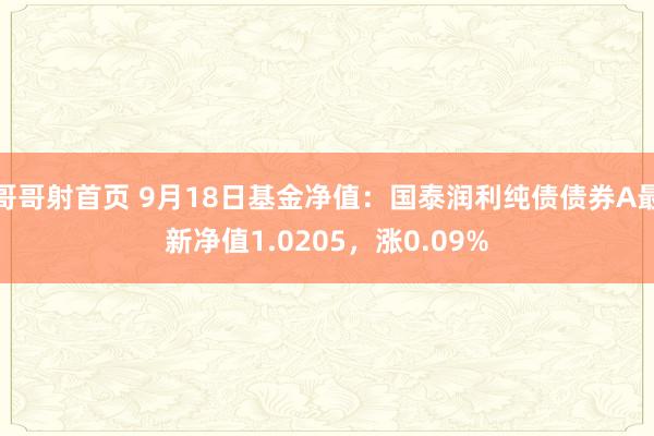 哥哥射首页 9月18日基金净值：国泰润利纯债债券A最新净值1.0205，涨0.09%