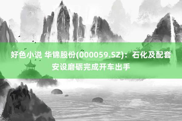 好色小说 华锦股份(000059.SZ)：石化及配套安设磨砺完成开车出手