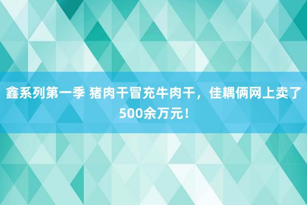 鑫系列第一季 猪肉干冒充牛肉干，佳耦俩网上卖了500余万元！