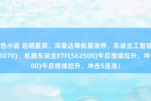 好色小说 启明星辰、深桑达等批量涨停，东谈主工智能AIETF(515070)、机器东谈主ETF(562500)午后捏续拉升，冲击5连涨！