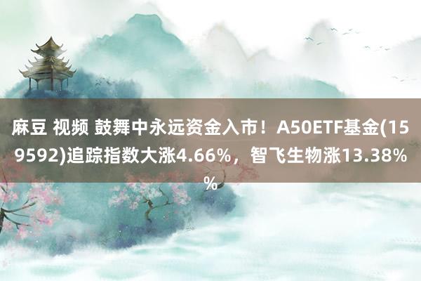 麻豆 视频 鼓舞中永远资金入市！A50ETF基金(159592)追踪指数大涨4.66%，智飞生物涨13.38%