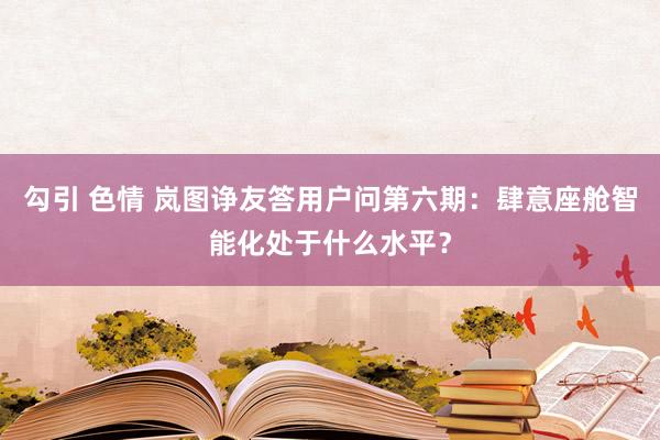 勾引 色情 岚图诤友答用户问第六期：肆意座舱智能化处于什么水平？