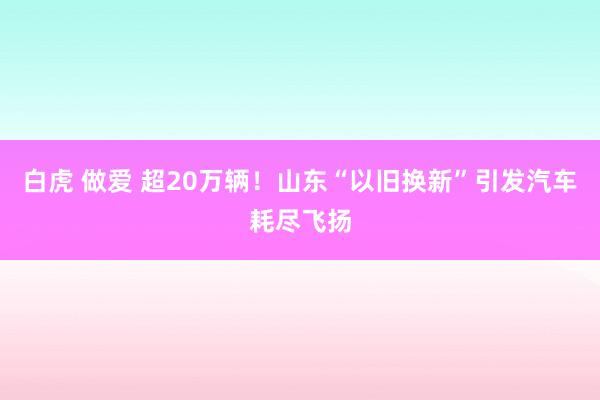 白虎 做爱 超20万辆！山东“以旧换新”引发汽车耗尽飞扬