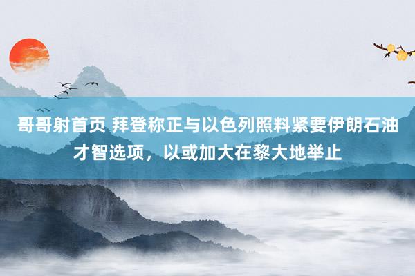 哥哥射首页 拜登称正与以色列照料紧要伊朗石油才智选项，以或加大在黎大地举止