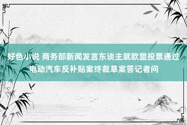 好色小说 商务部新闻发言东谈主就欧盟投票通过电动汽车反补贴案终裁草案答记者问