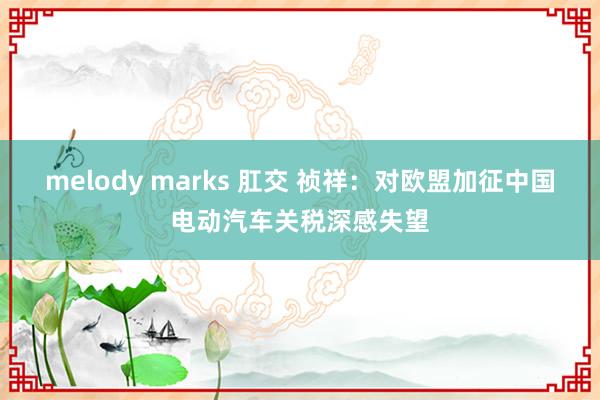 melody marks 肛交 祯祥：对欧盟加征中国电动汽车关税深感失望