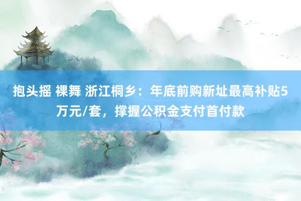 抱头摇 裸舞 浙江桐乡：年底前购新址最高补贴5万元/套，撑握公积金支付首付款