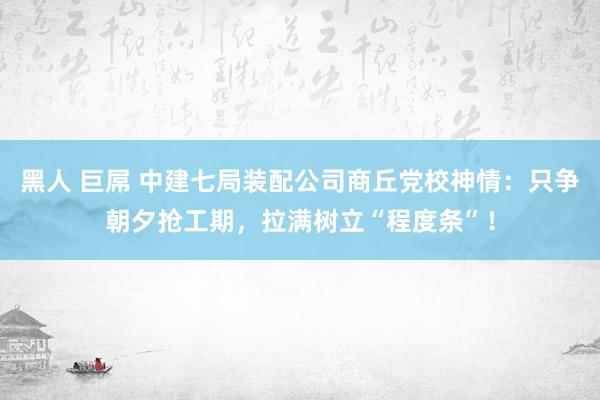 黑人 巨屌 中建七局装配公司商丘党校神情：只争朝夕抢工期，拉满树立“程度条”！