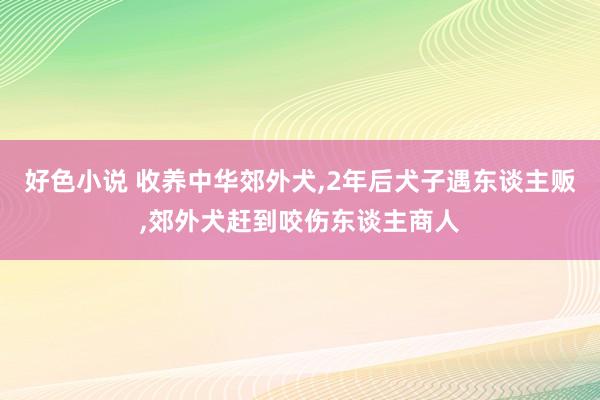 好色小说 收养中华郊外犬，2年后犬子遇东谈主贩，郊外犬赶到咬伤东谈主商人