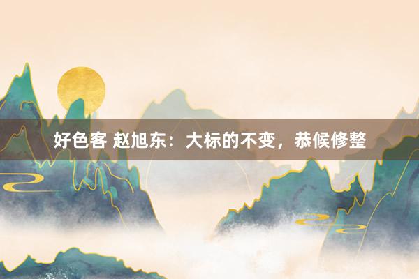 好色客 赵旭东：大标的不变，恭候修整