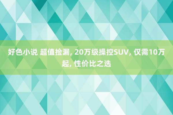 好色小说 超值捡漏， 20万级操控SUV， 仅需10万起， 性价比之选