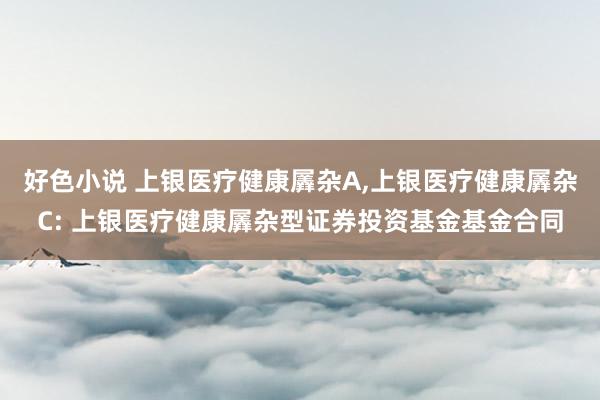 好色小说 上银医疗健康羼杂A，上银医疗健康羼杂C: 上银医疗健康羼杂型证券投资基金基金合同