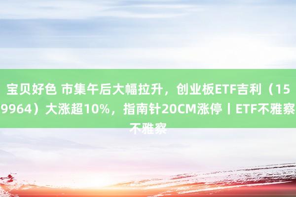 宝贝好色 市集午后大幅拉升，创业板ETF吉利（159964）大涨超10%，指南针20CM涨停丨ETF不雅察