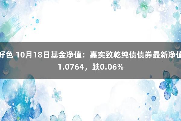 好色 10月18日基金净值：嘉实致乾纯债债券最新净值1.0764，跌0.06%