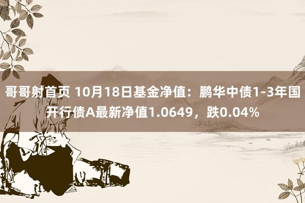 哥哥射首页 10月18日基金净值：鹏华中债1-3年国开行债A最新净值1.0649，跌0.04%