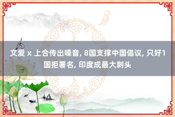 文爱 x 上合传出噪音， 8国支撑中国倡议， 只好1国拒署名， 印度成最大刺头