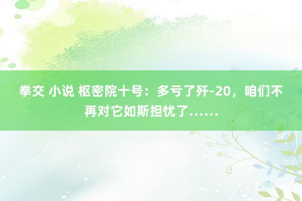 拳交 小说 枢密院十号：多亏了歼-20，咱们不再对它如斯担忧了……