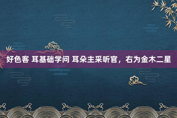 好色客 耳基础学问 耳朵主采听官，右为金木二星