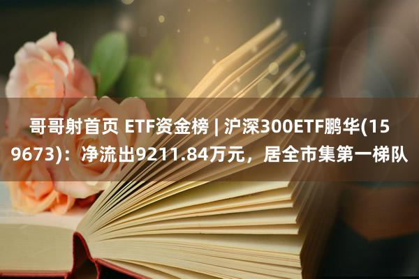 哥哥射首页 ETF资金榜 | 沪深300ETF鹏华(159673)：净流出9211.84万元，居全市集第一梯队