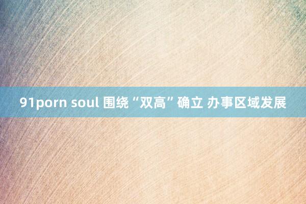 91porn soul 围绕“双高”确立 办事区域发展