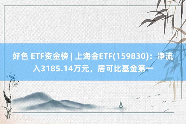 好色 ETF资金榜 | 上海金ETF(159830)：净流入3185.14万元，居可比基金第一