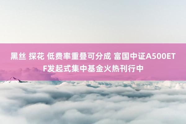 黑丝 探花 低费率重叠可分成 富国中证A500ETF发起式集中基金火热刊行中