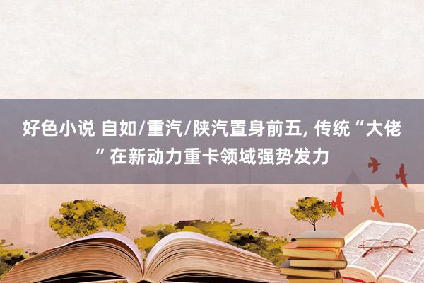 好色小说 自如/重汽/陕汽置身前五， 传统“大佬”在新动力重卡领域强势发力