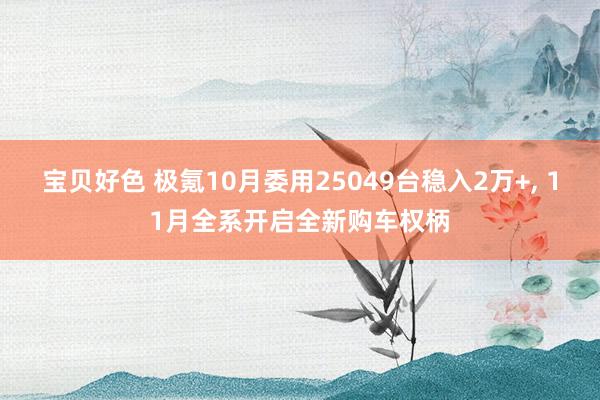 宝贝好色 极氪10月委用25049台稳入2万+， 11月全系开启全新购车权柄