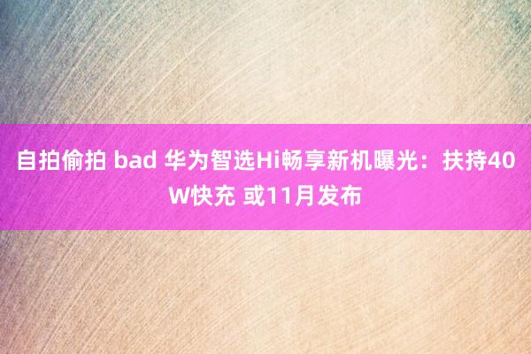 自拍偷拍 bad 华为智选Hi畅享新机曝光：扶持40W快充 或11月发布