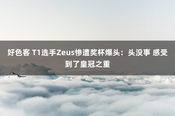 好色客 T1选手Zeus惨遭奖杯爆头：头没事 感受到了皇冠之重