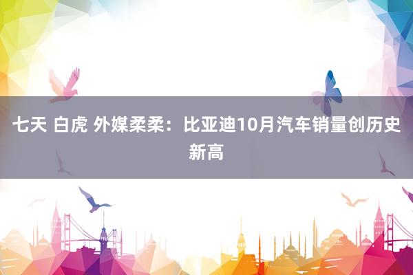 七天 白虎 外媒柔柔：比亚迪10月汽车销量创历史新高