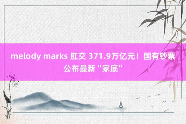 melody marks 肛交 371.9万亿元！国有钞票公布最新“家底”