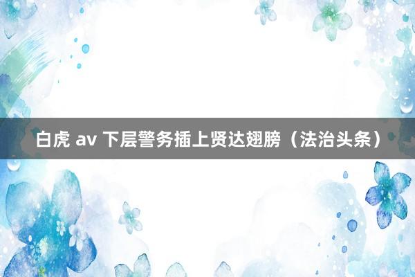 白虎 av 下层警务插上贤达翅膀（法治头条）